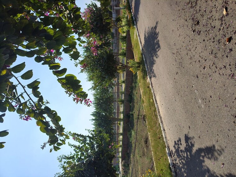 Garden, rambha-corona-greens  141 Sq.Yd. Plot In Sohna Sector 5 Gurgaon 10038111