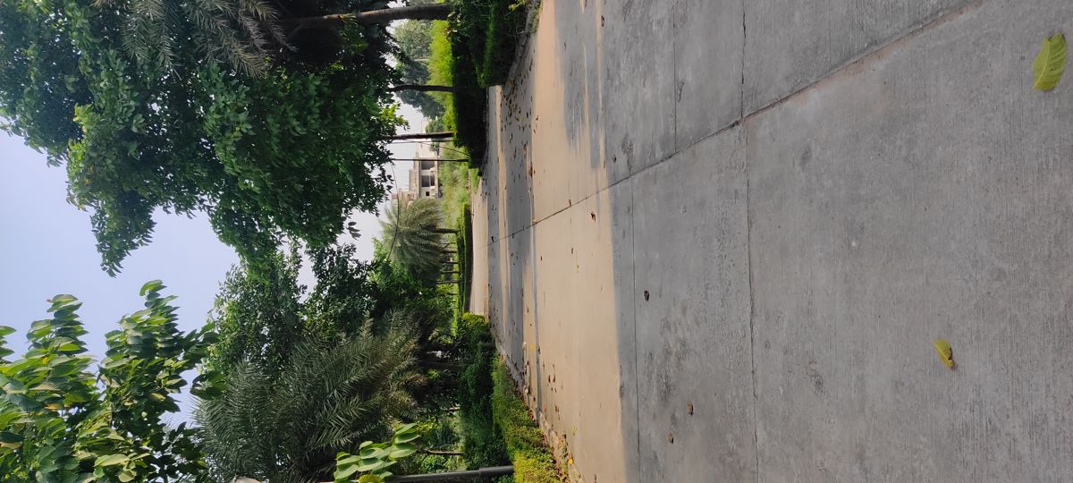 Plot For Sale in Omaxe New Chandigarh