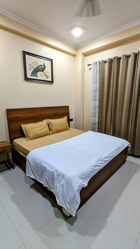 1 BHK Apartment For Rent in Saket