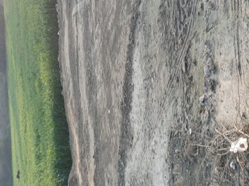 Plot Area in  Plot at Lakhnawali – for Sale