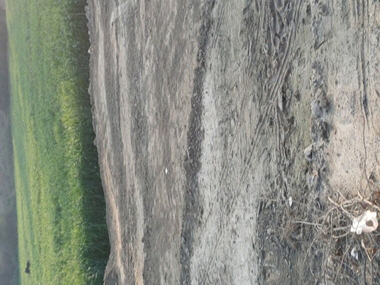 undefined, lakhnawali  50 Sq.Yd. Plot In Lakhnawali Greater Noida 10038319