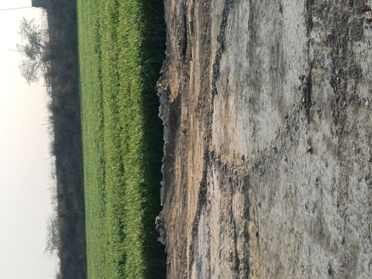 Garden, lakhnawali  60 Sq.Yd. Plot In Lakhnawali Greater Noida 10038724
