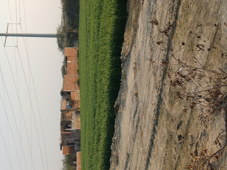 Exterior View, lakhnawali  65 Sq.Yd. Plot In Lakhnawali Greater Noida 10038878