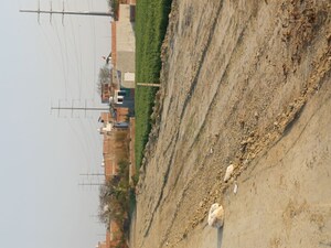  Plot – Exterior View View at Lakhnawali - for Sale