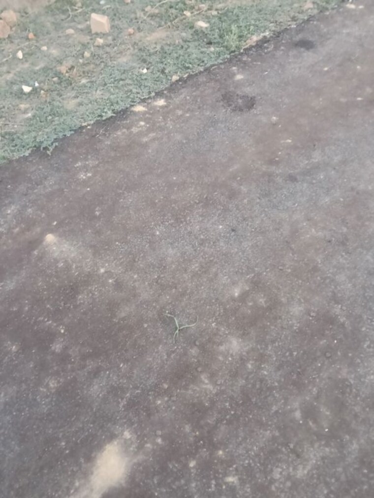 Exterior View, faizabad road  1000 Sq.Ft. Plot In Faizabad Road Lucknow 10038955