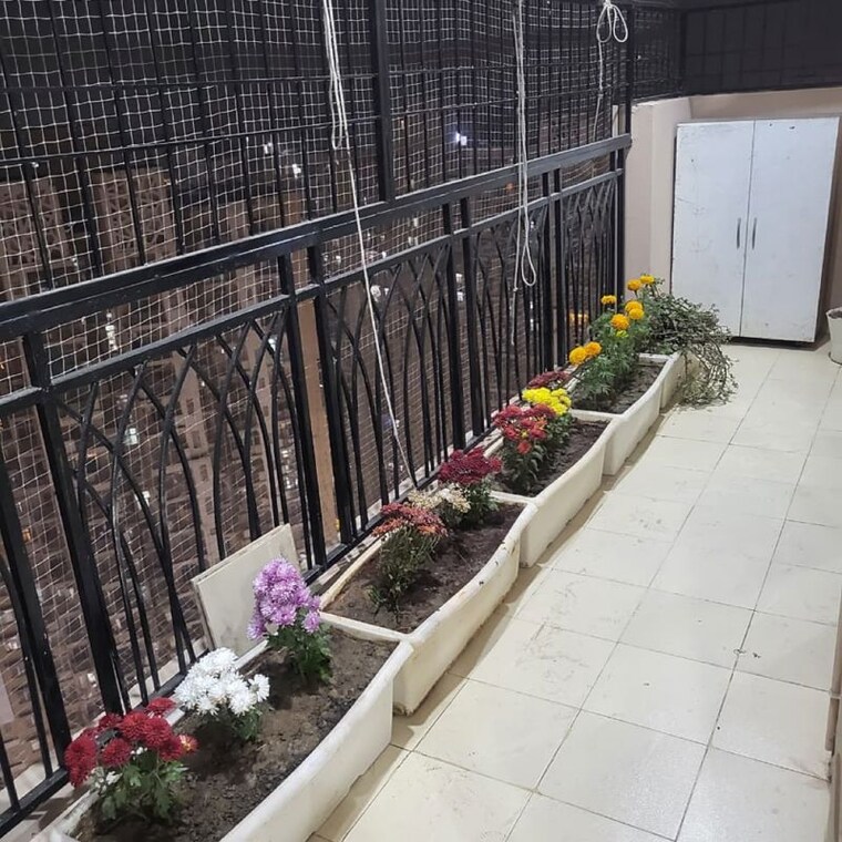 Balcony, mahagun-mywoods-ii 3 Bedroom 1810 Sq.Ft. Apartment In Sector 16c Greater Noida Greater Noida 10039034