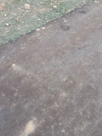  Plot – Exterior View View at Faizabad Road - for Sale