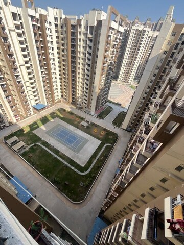 2 BHK Apartment For Rent in Amrapali Golf Homes, Haibatpur