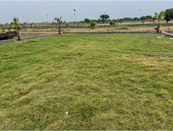 Plot For Sale in Sector 77