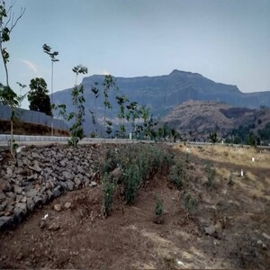 Plot Area in  Plot at Pimpalgaon Bahula – for Sale