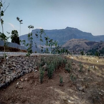  Plot For Sale in Pimpalgaon Bahula