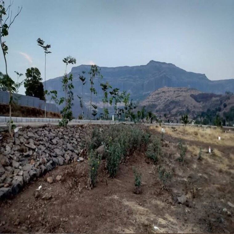 undefined, pimpalgaon bahula  133 Sq.Yd. Plot In Pimpalgaon Bahula Nashik 10040001