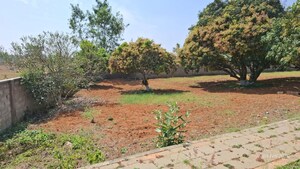 Plot Area in  Plot at Orchid Nirvana, Devanahalli – for Sale