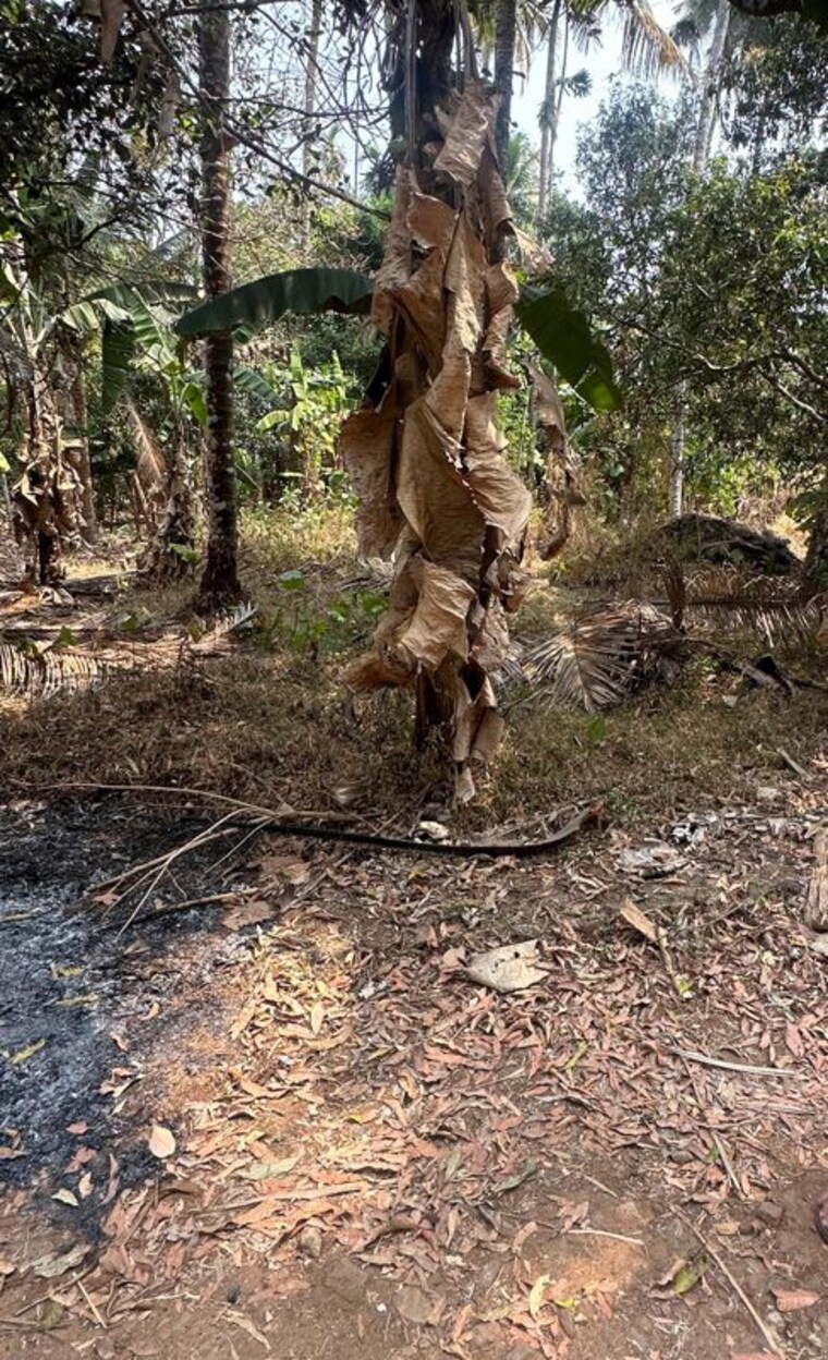 undefined, kolazhy  4356 Sq.Ft. Plot In Kolazhy Thrissur 10041226