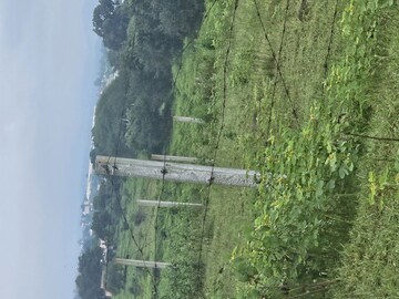 Plot Area in  Plot at Shinde – for Sale