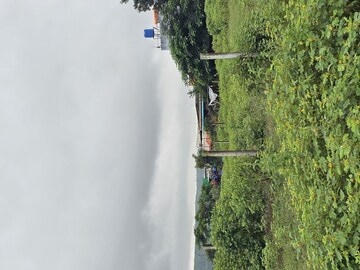 Plot Area in  Plot at Shinde – for Sale