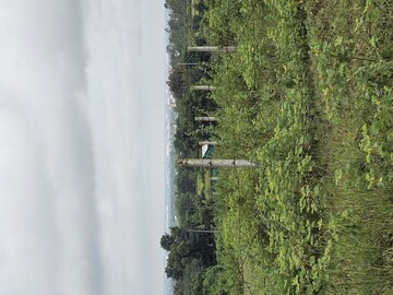  Plot – Garden View at Shinde - for Sale