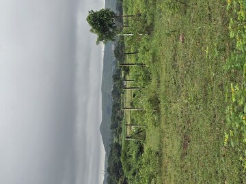 Plot Area in  Plot at Shinde – for Sale