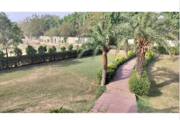 Garden, jewar  1613 Sq.Ft. Plot In Jewar Greater Noida 10042004
