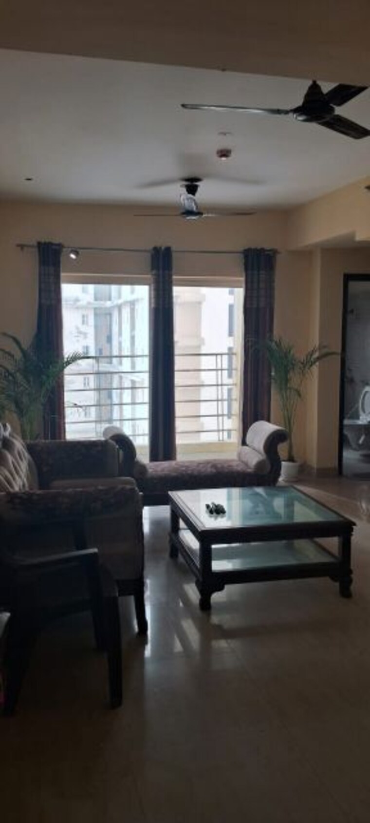 Living Room, paras-tierea 2 Bedroom 925 Sq.Ft. Apartment In Sector 137 Noida 10042073