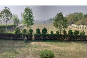  Plot For Sale in Jewar