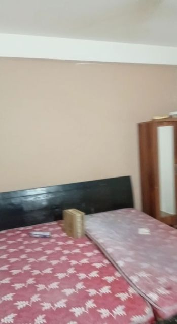 2 BHK Independent House For Rent in RWA Apartments Sector 19