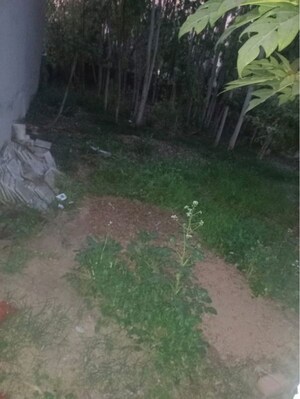  Plot For Sale in Ambala Cantt