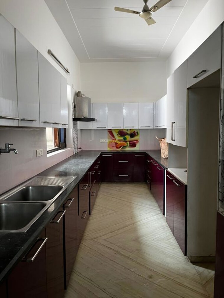 Kitchen, ardee-city 3 Bedroom 1650 Sq.Ft. Builder Floor In Sector 52 Gurgaon 10043435