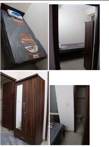 Furnished Amenities in  Pg at Sector 137 – for Rent