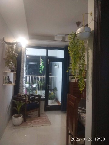 Living Room in 3 BHK Builder Floor at Highland Park Chandigarh, Bhabat – for Rent