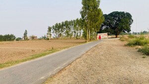 Plot Area in  Plot at Altus Prime, North Mullanpur – for Sale