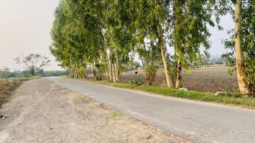 Plot Area in  Plot at Altus Prime, North Mullanpur – for Sale