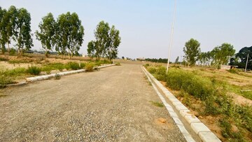 Plot Area in  Plot at Altus Abney Square, Sector 20 – for Sale