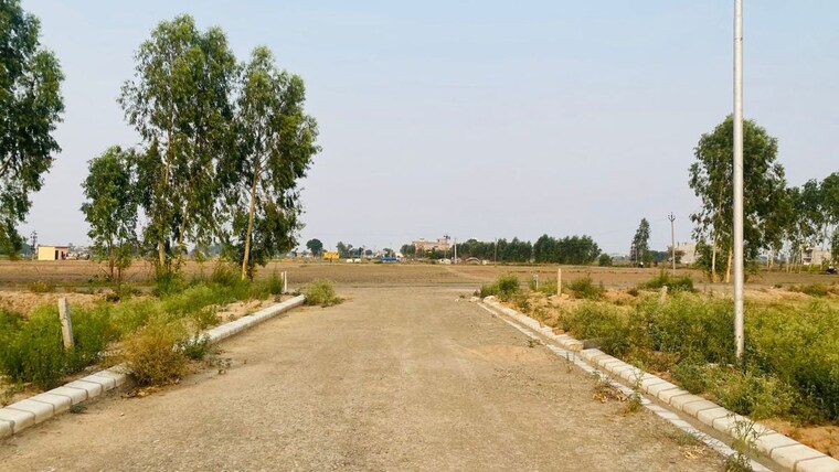 undefined, altus-prime  171 Sq.Yd. Plot In North Mullanpur Chandigarh 10043978