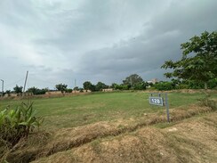 Plot For Sale in Sector 78