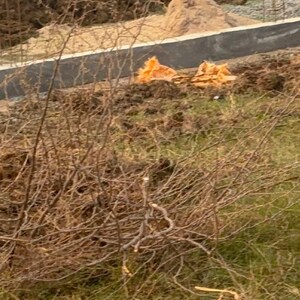 Plot Area in  Plot at Kunchanapalli – for Sale