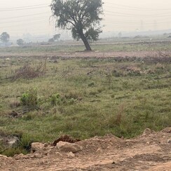 Plot For Sale in Poranki