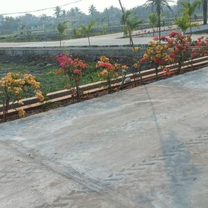  Plot – Exterior View View at Poranki - for Sale