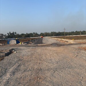 Plot Area in  Plot at Ganguru – for Sale