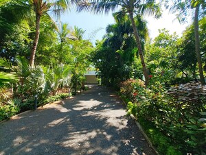 3 BHK Independent House – Garden View at Kanathur - for Rent