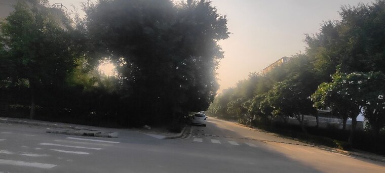 Garden, dlf-hyde-park  250 Sq.Yd. Plot In South Mullanpur Chandigarh 10044332