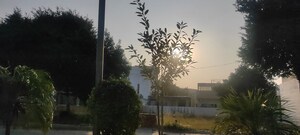  Plot – Exterior View View at DLF Hyde Park, South Mullanpur - for Sale