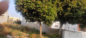  Plot – Garden View at DLF Hyde Park, South Mullanpur - for Sale