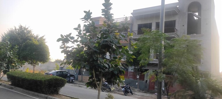 Exterior View, dlf-hyde-park  350 Sq.Yd. Plot In South Mullanpur Chandigarh 10044346