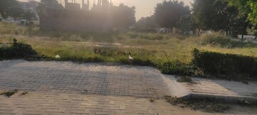 Plot Area in  Plot at DLF Hyde Park, South Mullanpur – for Sale