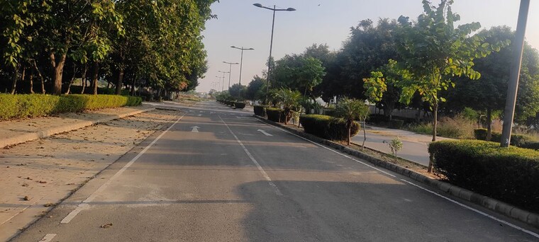 Garden, dlf-hyde-park  500 Sq.Yd. Plot In South Mullanpur Chandigarh 10044359