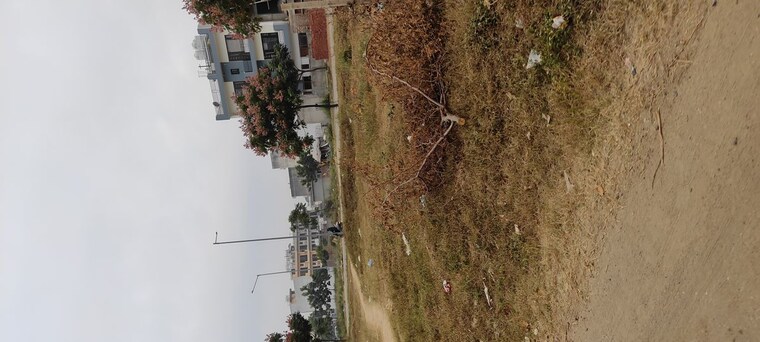 Exterior View, gmada-eco-city  300 Sq.Yd. Plot In North Mullanpur Chandigarh 10044442