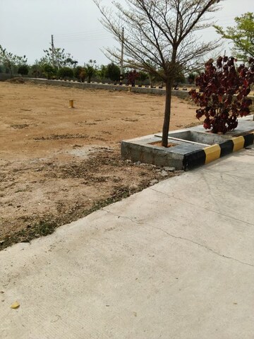  Plot – Exterior View View at JB Harmony Woods, Thummaloor - for Sale