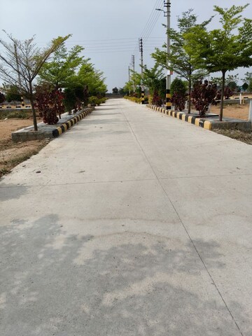  Plot – Exterior View View at JB Harmony Woods, Thummaloor - for Sale