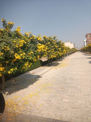  Plot – Garden View at Mansha Oaks, Sector 98 - for Sale